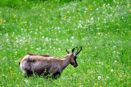 affittacamere in valle d'aosta